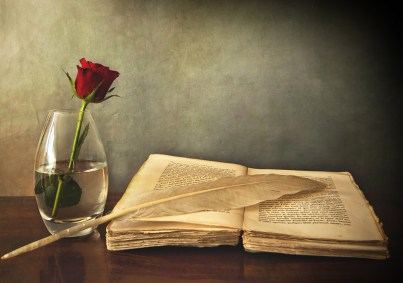 book_old_pen_table_vase_rose_red_76972_6000x4220